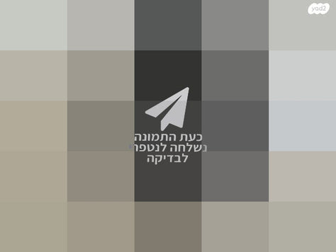 דונה