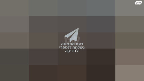 ש"ס טלמן