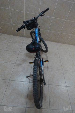 אופנייים
