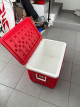 צידנית Thermo Wagon 40*40*60