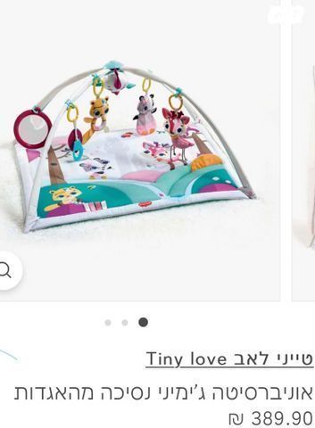 אוניברסיטה טייני לאב