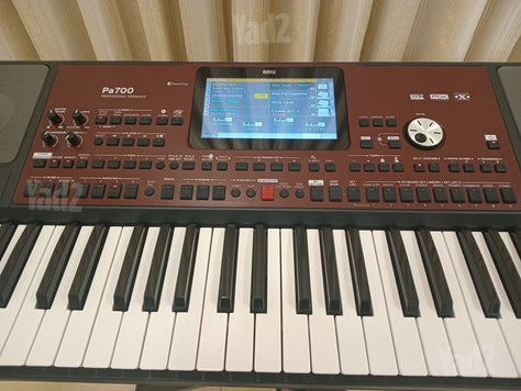אורגן קורג pa700