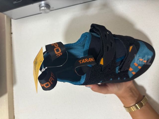 נעלי טיפוס climbing shoes