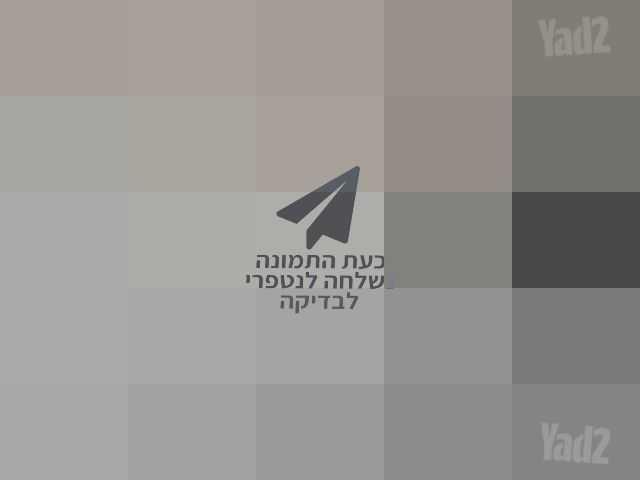 שואב שוטף ROBOROCK F25 RT