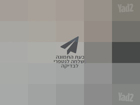 שואב שוטף ROBOROCK F25 RT