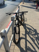 הנביאים