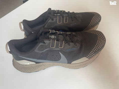 Nike Pegasus Trail