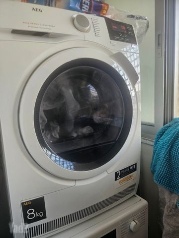 מייבש