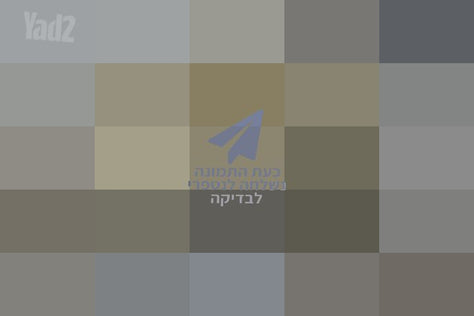 ספה דו מושבית