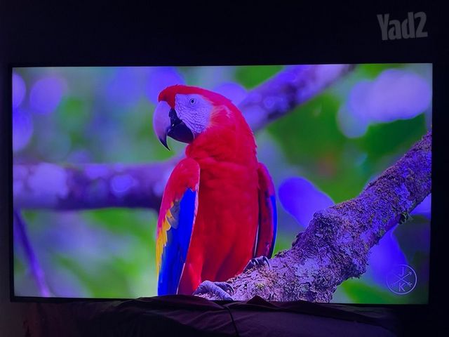 Samsung 65