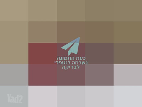 אלקטרוניקה