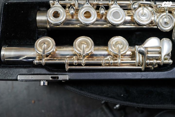 חליל צד Haynes Amadeus