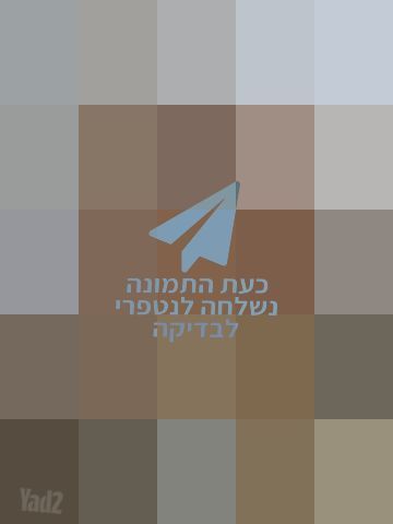 מכתביה