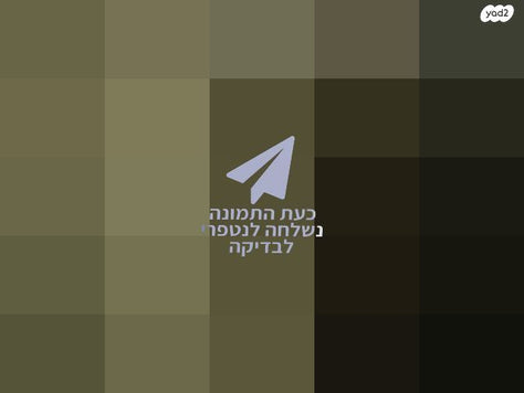 גלילי קנבס איטלקי