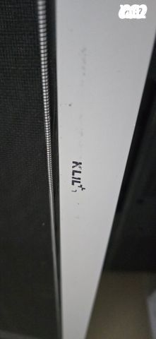 רשת יתושים