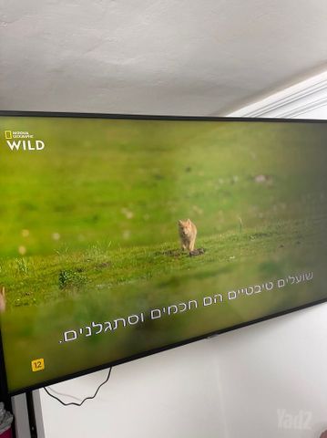טלוויזיה Samsung