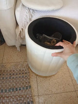 שרפרף