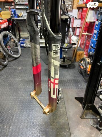 S works world cup
