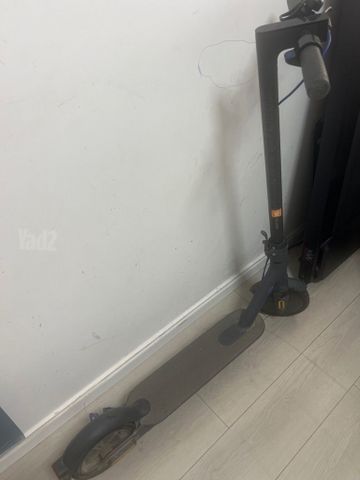 קורקינט