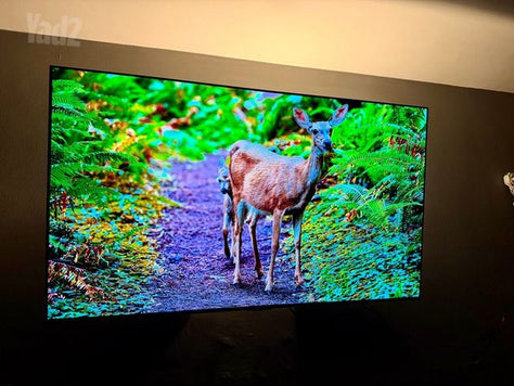 LG OLED 55
