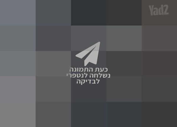 רמקול מוגבר JST