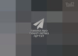 רמקול מוגבר JST