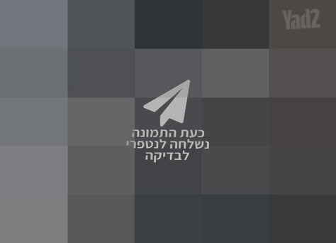 רמקול מוגבר JST