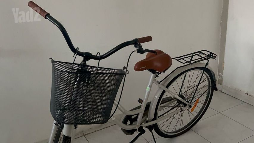 אופני Vision Amsterdam