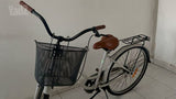 אופני Vision Amsterdam
