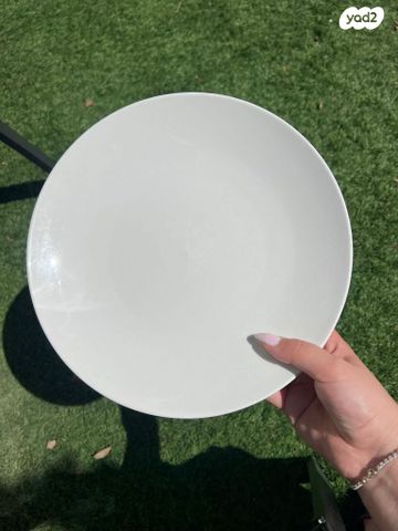 צלחות חגיגיות