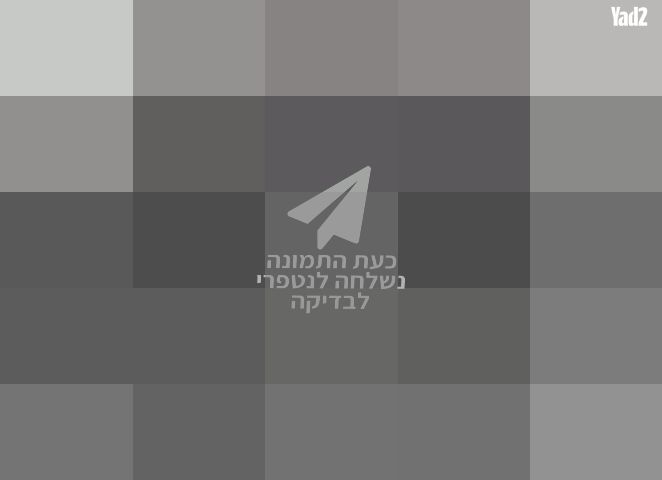מיקסר