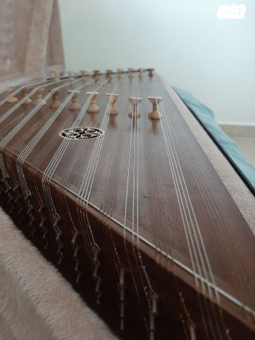 סנטור טורקי