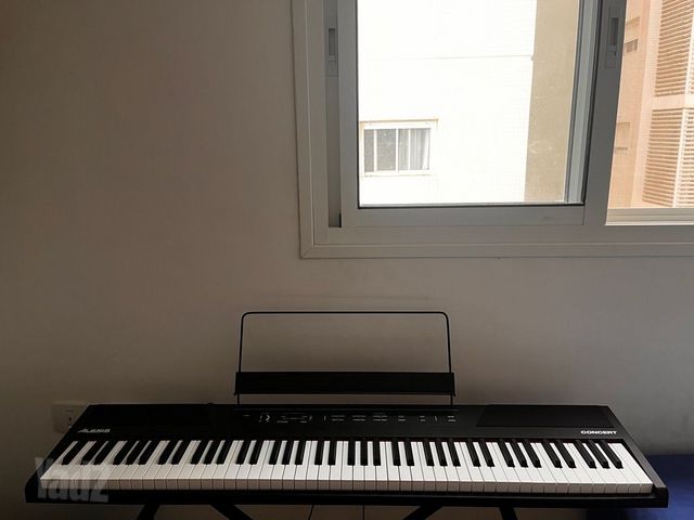 Alesis concert digital