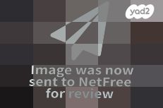 שטריימל