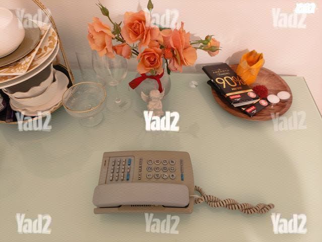 טלפון נייח במצב מצויין.