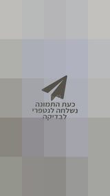 מזגן נייד 2 כ"ס
