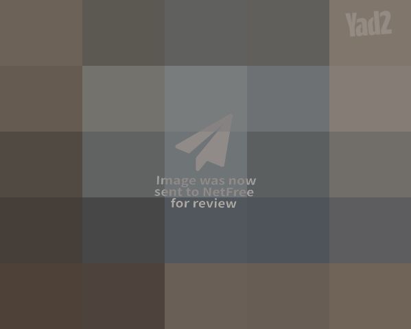 Bluesound (NAD) NANO - סטרימר