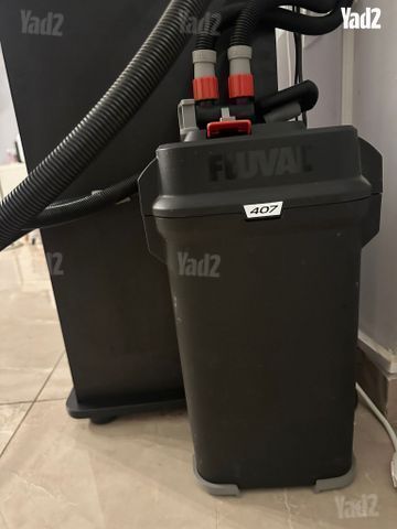 אקווריום דגים