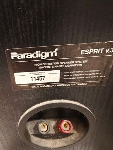 רמקולים רצפתיים מקצועיים