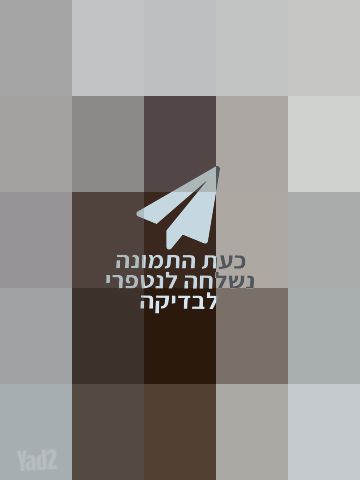 פאה
