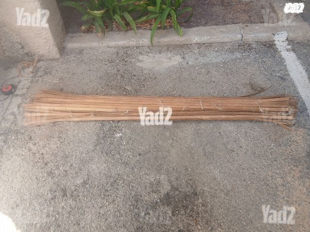 סכך סוכה 3.1 על  1.6