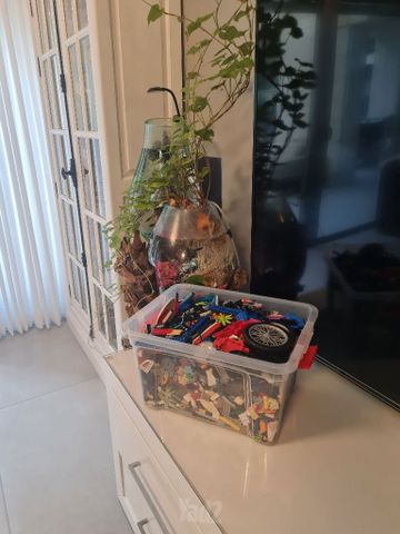 לגו
