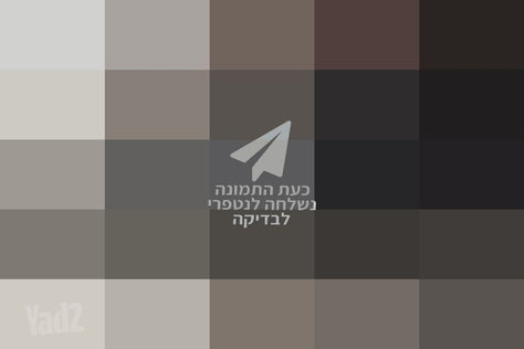 מצלמה Canon 90D+18-135 NanoUSM