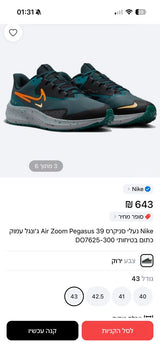 Nike Air Zoom Pegasus 39