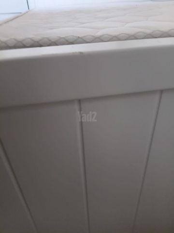 מיטה