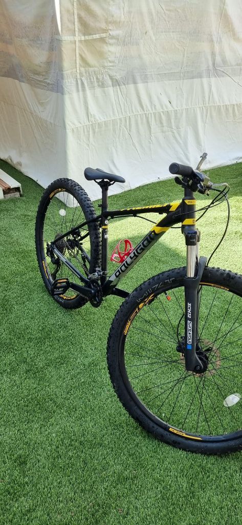 אופניים Polygon Premier 5