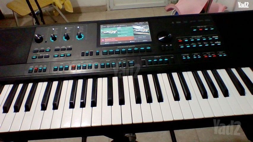 אורגן מדלי AKX10