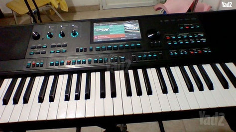 אורגן מדלי AKX10