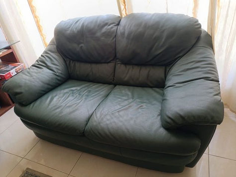 שתי ספות מעור