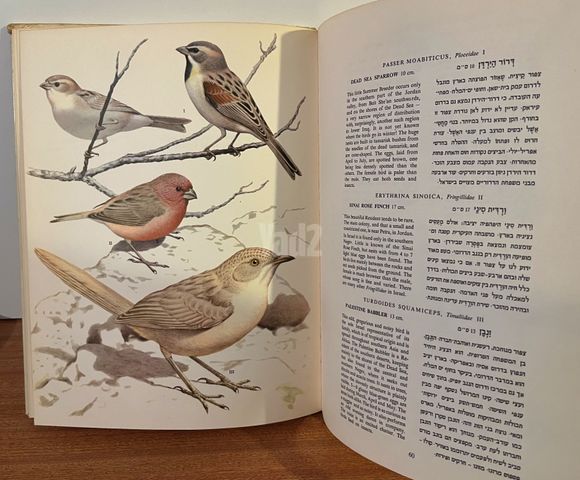 צפורי הארץ